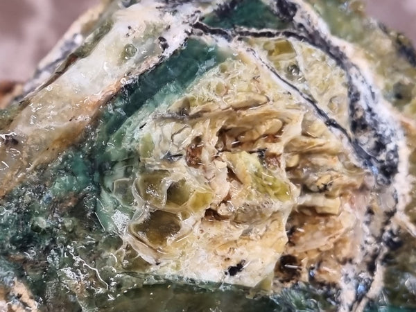 Green Opal  rough.  GOR 119