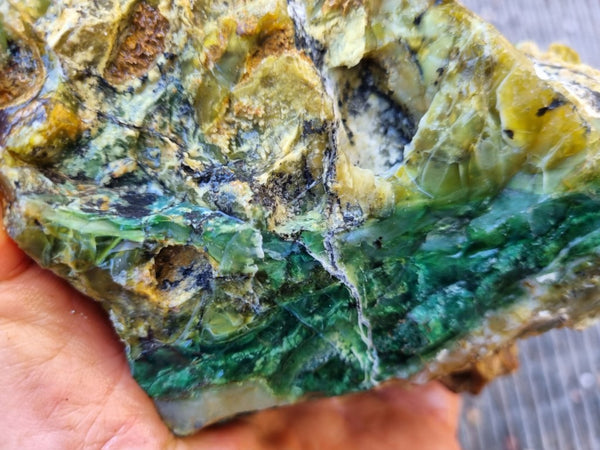 Green Opal  rough.  GOR 119