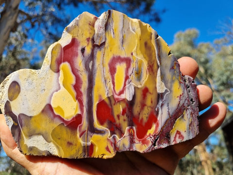 Polished Mookaite  MK392