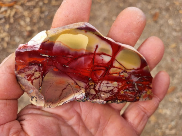 Polished Mookaite slab MK394