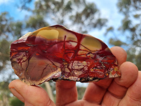 Polished Mookaite slab MK394