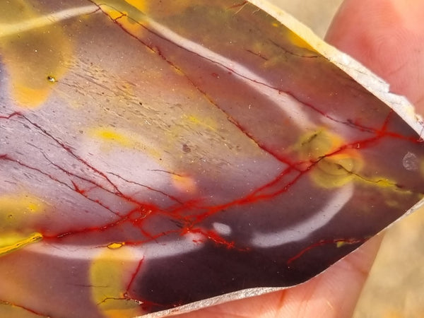 Polished Mookaite slab MK395