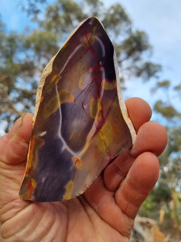 Polished Mookaite slab MK395