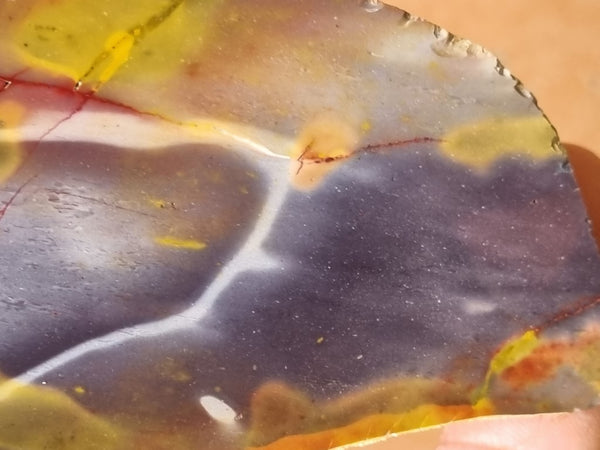 Polished Mookaite slab MK395