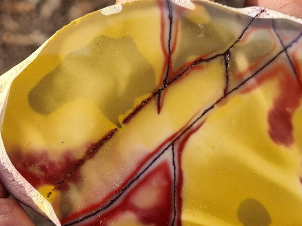 Polished Mookaite slab MK397