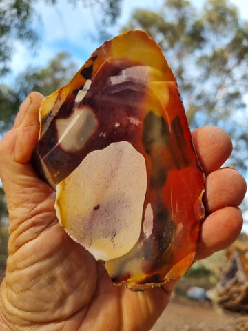 Polished Mookaite slab MK399