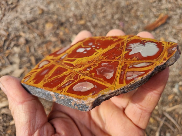 Polished Noreena Jasper slab. NJ440