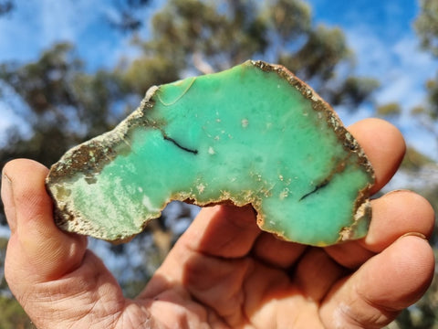 Polished Chrysoprase slab CH436