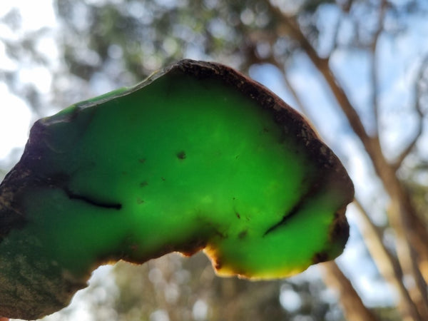 Polished Chrysoprase slab CH436