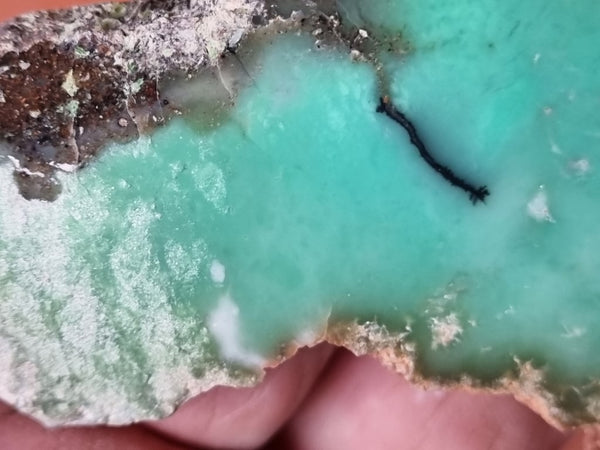 Polished Chrysoprase slab CH436