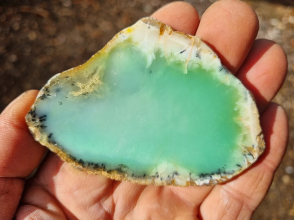 Polished Chrysoprase slab CH434