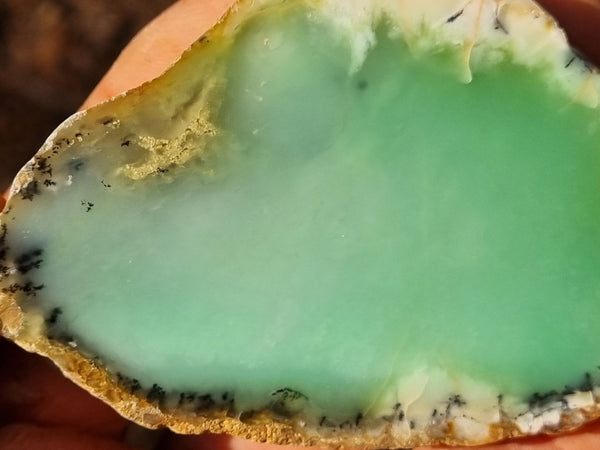 Polished Chrysoprase slab CH434