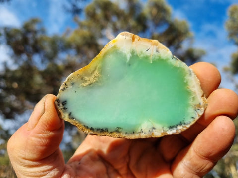 Polished Chrysoprase slab CH434