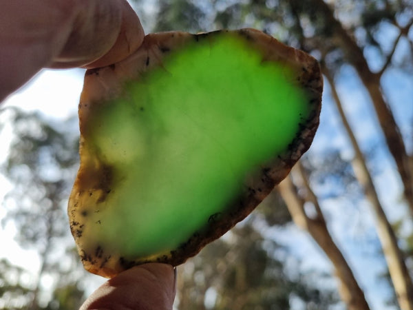 Polished Chrysoprase slab CH434