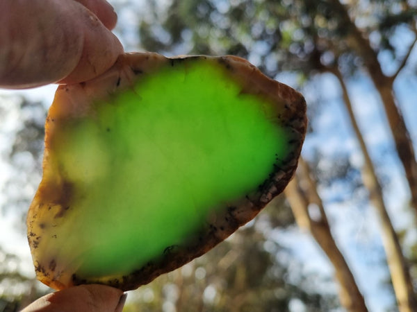 Polished Chrysoprase slab CH434