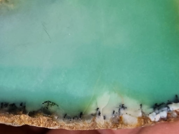 Polished Chrysoprase slab CH434