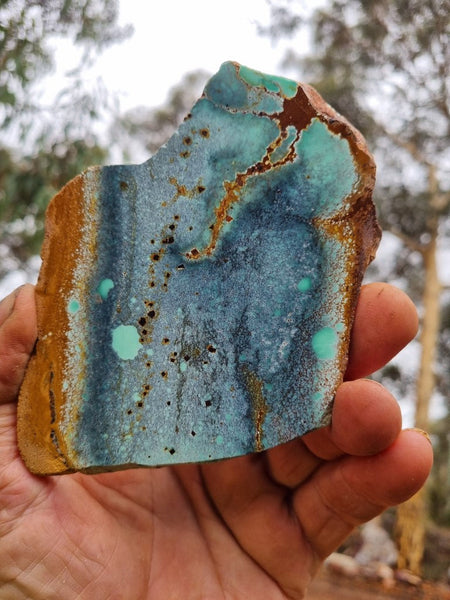 Variscite Polished Slab.  VP 268