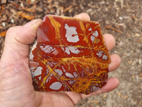 Polished Noreena Jasper slab. NJ442