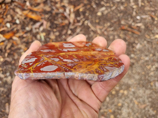 Polished Noreena Jasper slab. NJ442