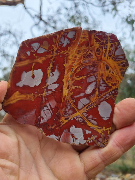 Polished Noreena Jasper slab. NJ442