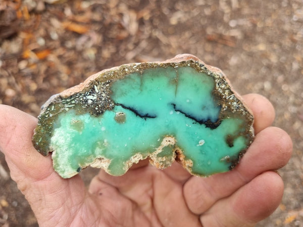 Polished Chrysoprase slab CH437