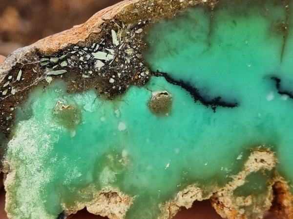 Polished Chrysoprase slab CH437