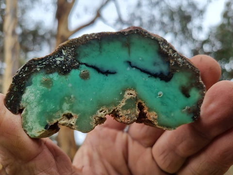 Polished Chrysoprase slab CH437