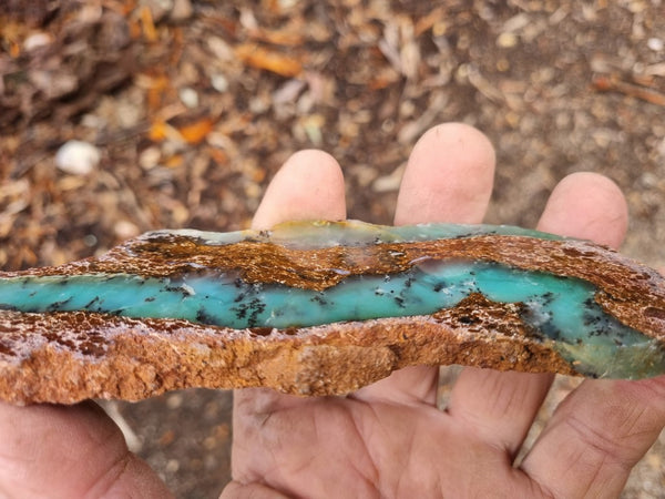 Polished Chrysoprase slab CH439