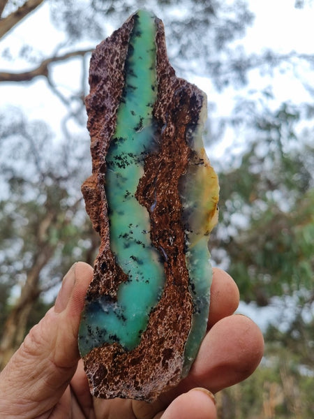 Polished Chrysoprase slab CH439