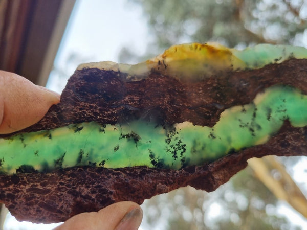 Polished Chrysoprase slab CH439