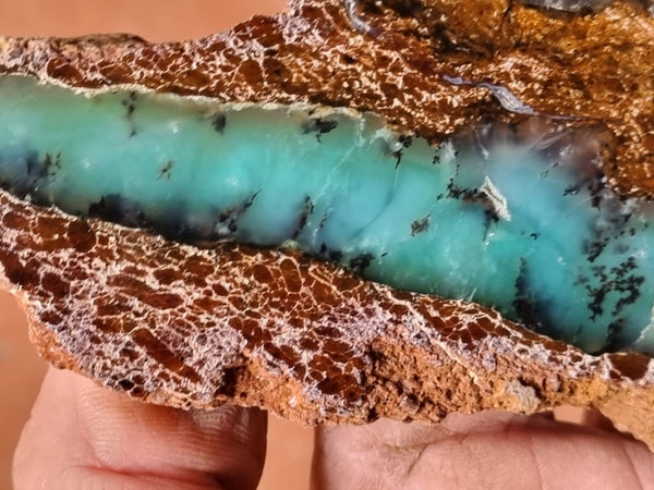 Polished Chrysoprase slab CH439