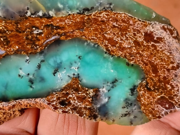 Polished Chrysoprase slab CH439