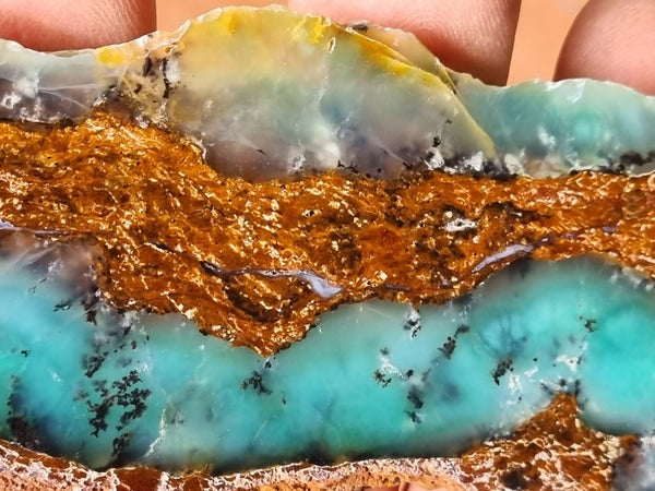 Polished Chrysoprase slab CH439