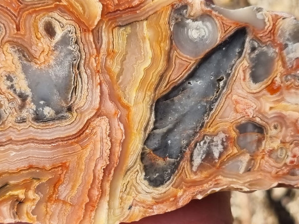 Polished Crazy Lace Agate  CLA261