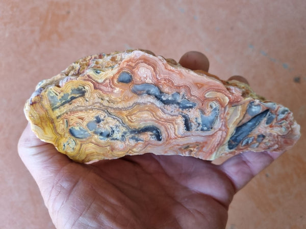 Polished Crazy Lace Agate  CLA261