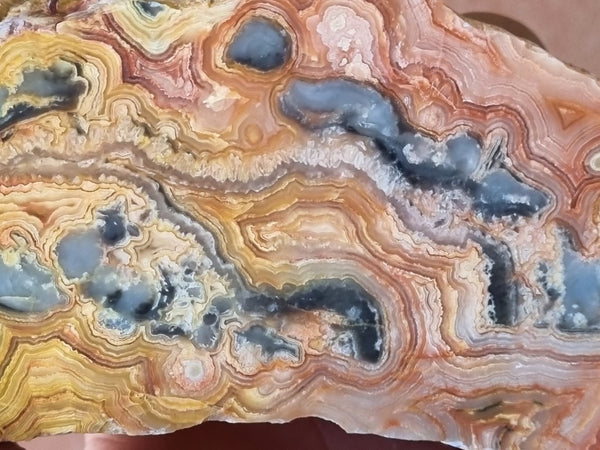 Polished Crazy Lace Agate  CLA261