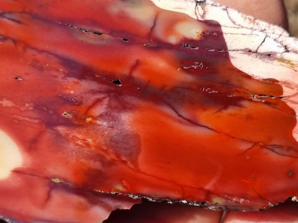 Polished Mookaite slab MK400