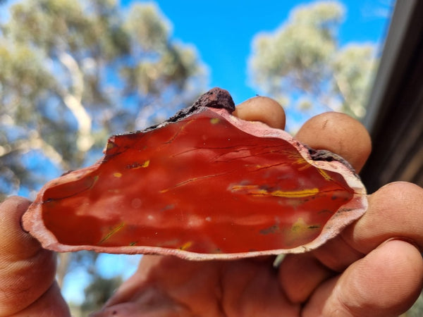 Polished Mookaite slab MK401