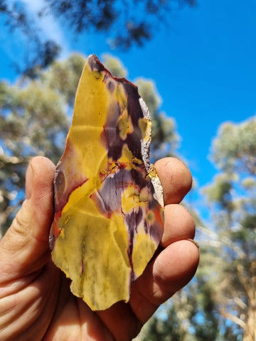 Polished Mookaite slab MK402