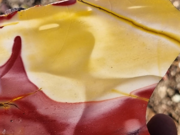 Polished Mookaite slab MK404