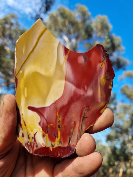 Polished Mookaite slab MK404