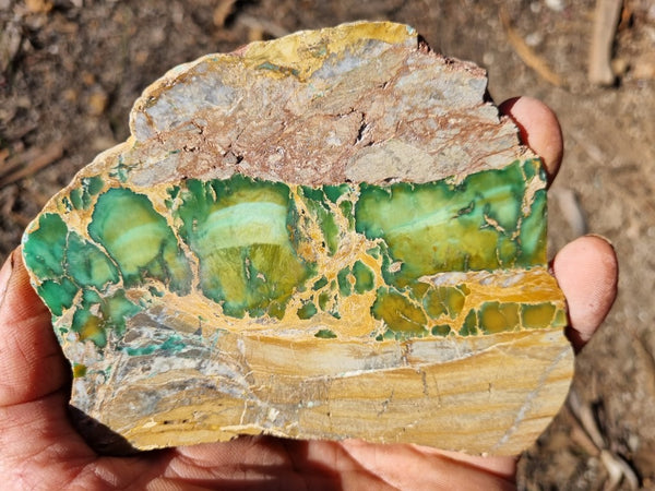 Variscite Polished Slab.  VP 270