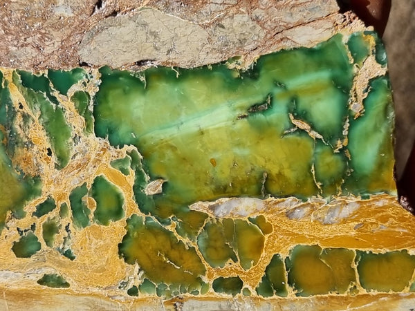 Variscite Polished Slab.  VP 270