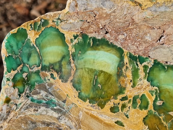 Variscite Polished Slab.  VP 270