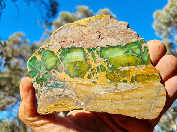 Variscite Polished Slab.  VP 270