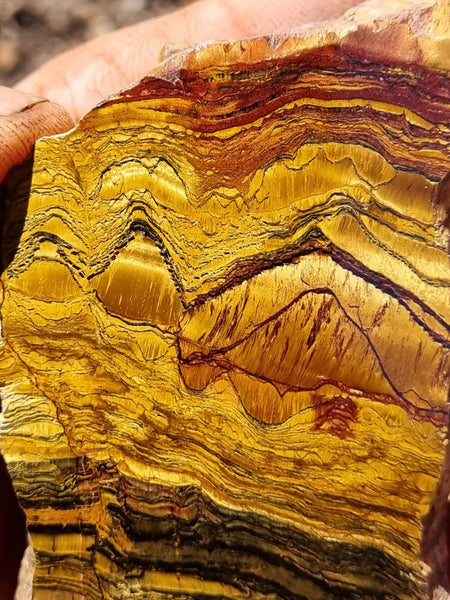 Polished Tiger Eye slab TE385