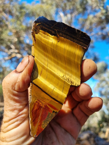 Polished Tiger Eye slab TE387