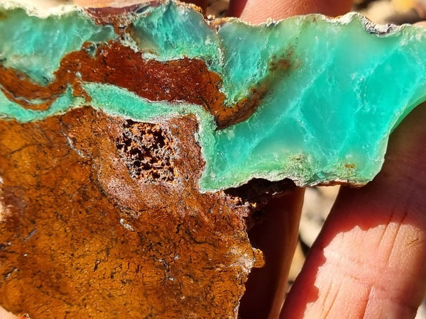 Polished Chrysoprase slab CH443