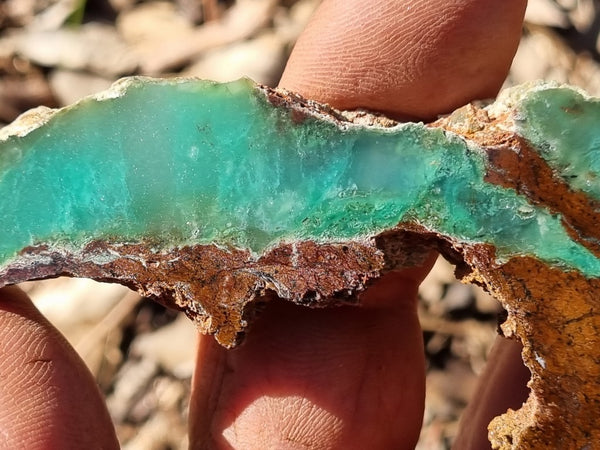 Polished Chrysoprase slab CH443