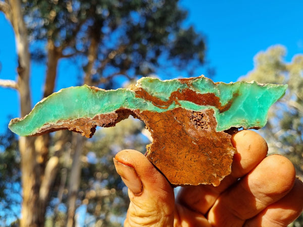 Polished Chrysoprase slab CH443